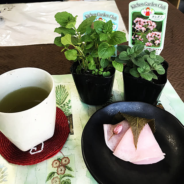 eshinobumさんの実例写真