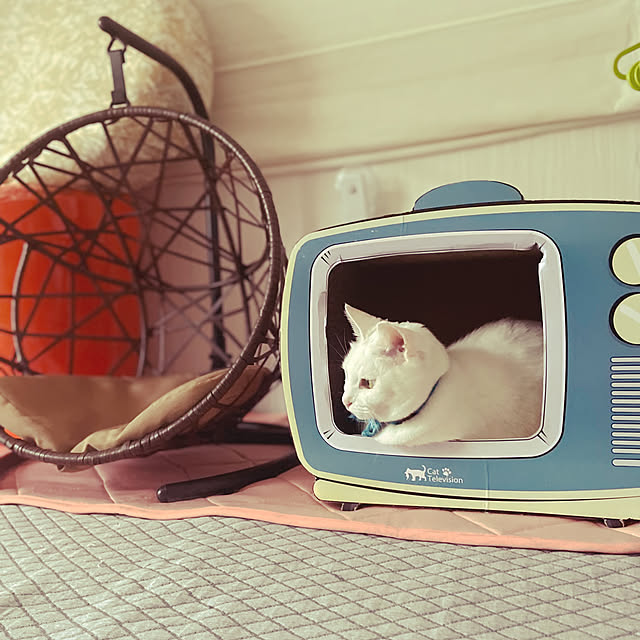 Maiさんの実例写真