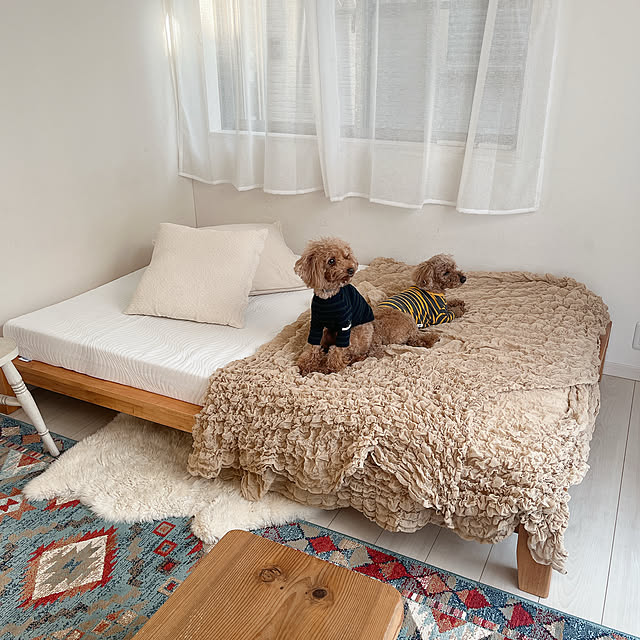 cocoaさんの実例写真