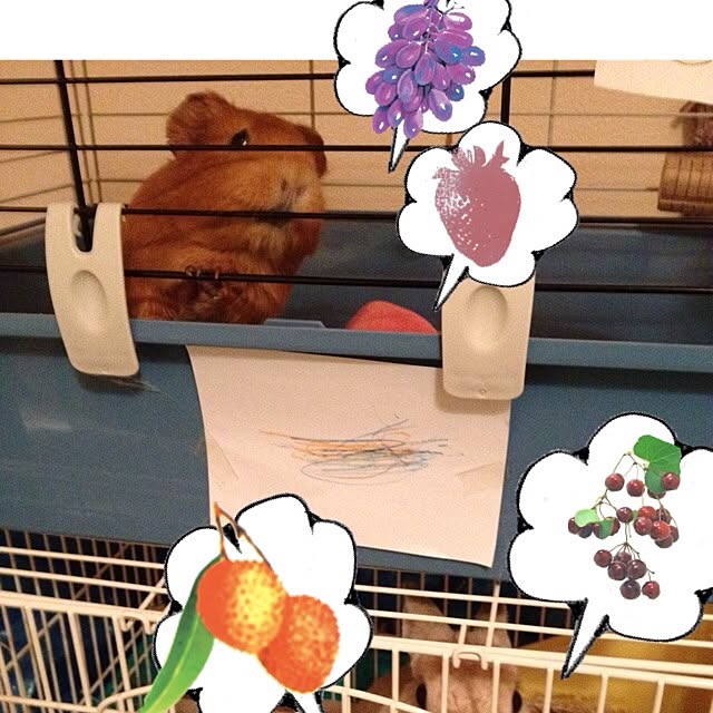 domadoma1212さんの実例写真
