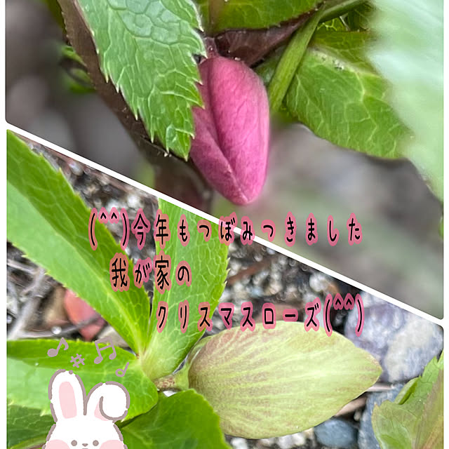 m.kさんの実例写真