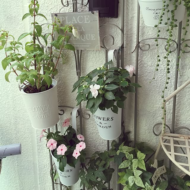 greenroseさんの実例写真