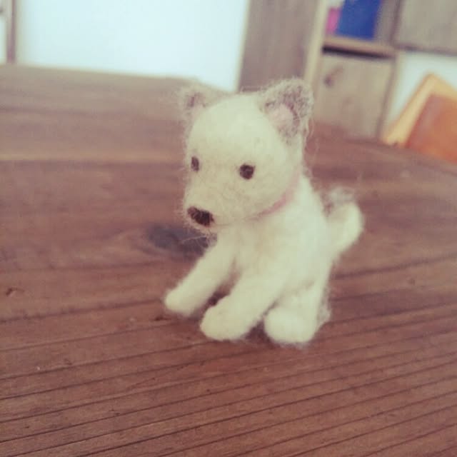 ni-niさんの実例写真