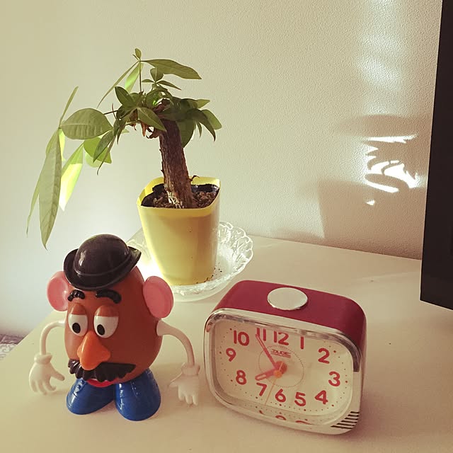 hiroさんの実例写真