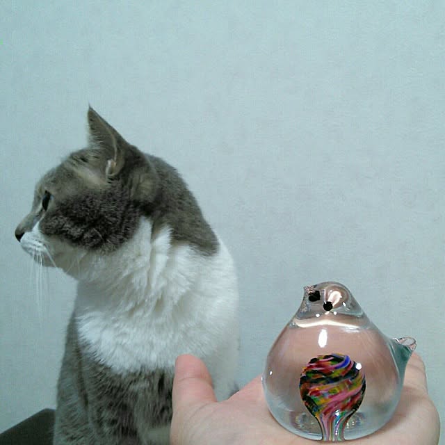 lovepandaさんの実例写真
