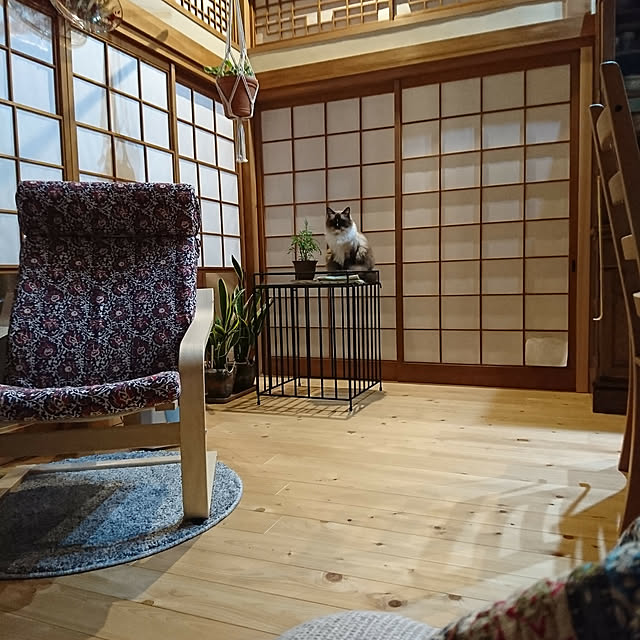 coffee-groundsさんの実例写真