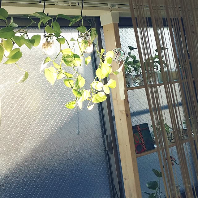 maiさんの実例写真