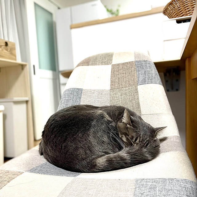 yuzukoさんの実例写真