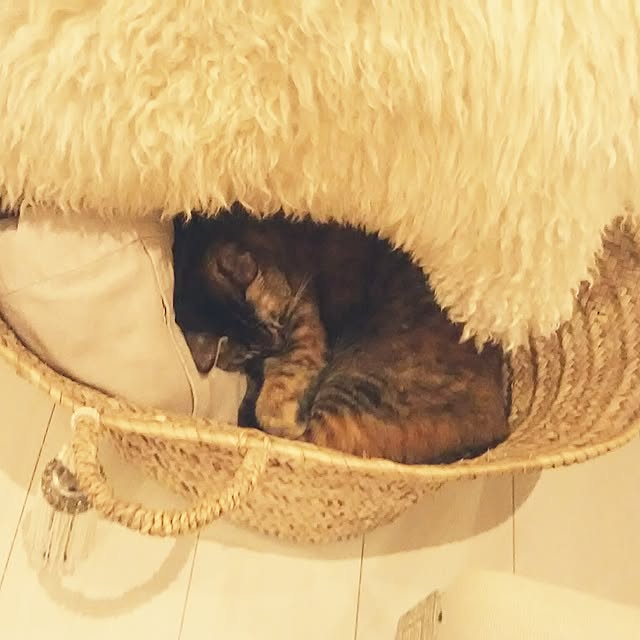 mikemomoさんの実例写真