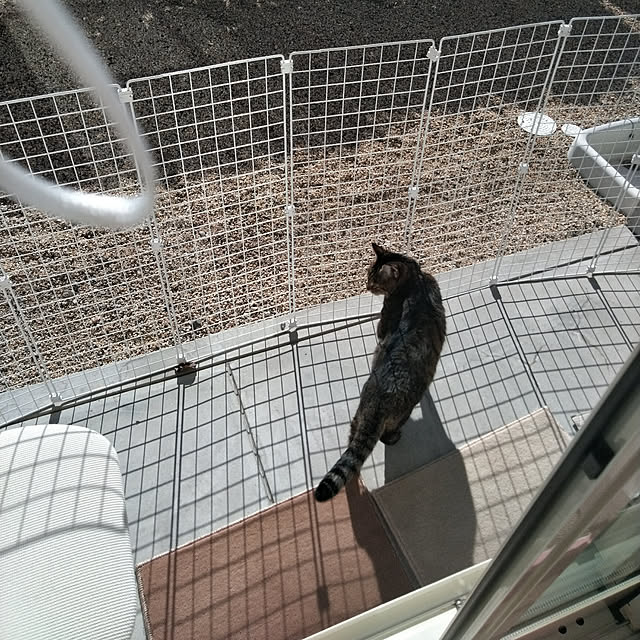 lilyさんの実例写真