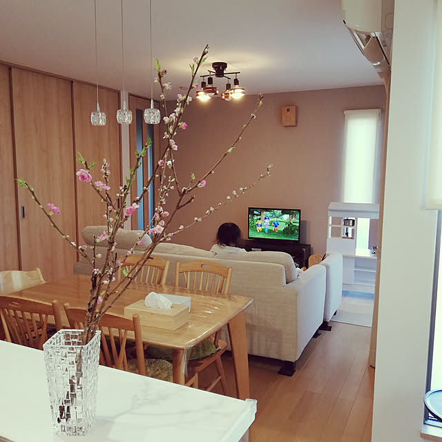 部屋全体/桃の花/ナハトマンのインテリア実例 - 2020-03-05 17:08:37