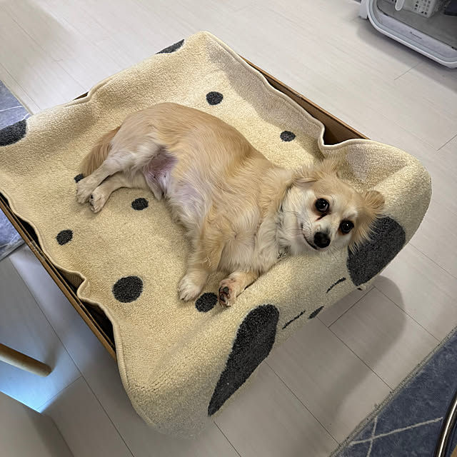 Rainyさんの部屋