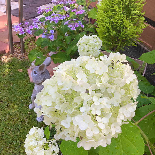 haruminさんの実例写真