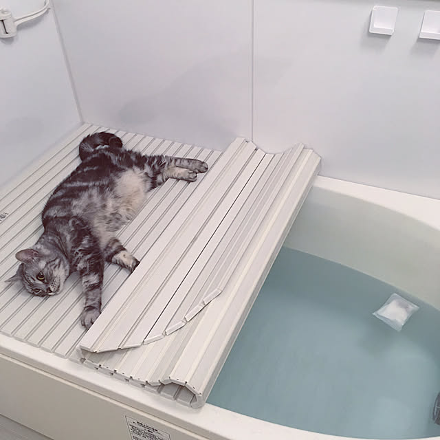 mikomaruさんの実例写真