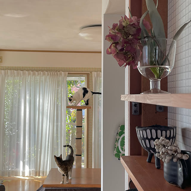 nobikoさんの部屋