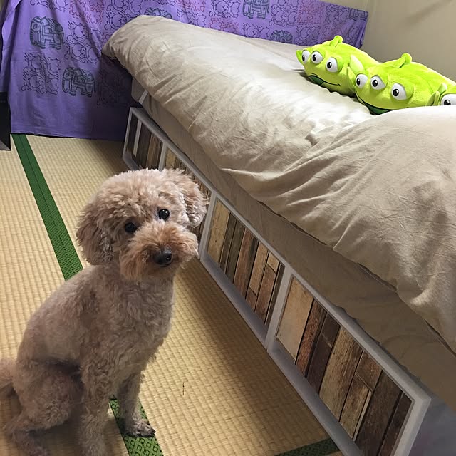 ronmaruさんの実例写真