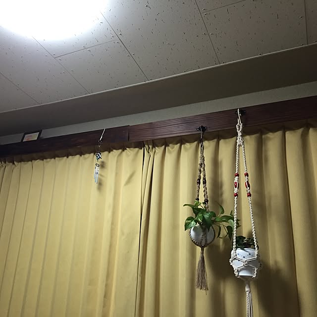 Fumiさんの実例写真