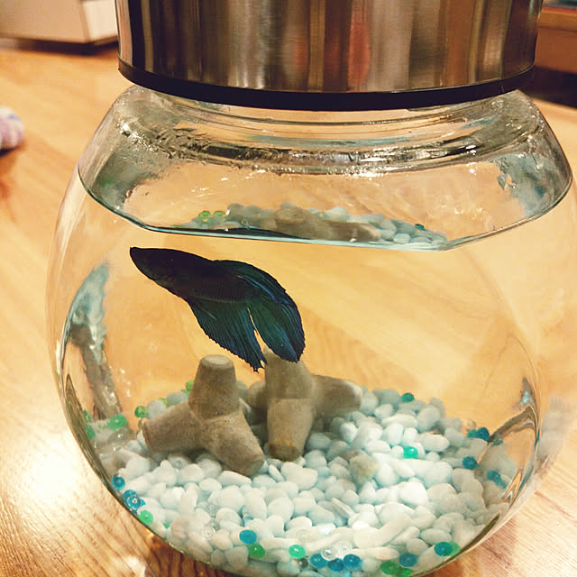 Rudyさんの実例写真