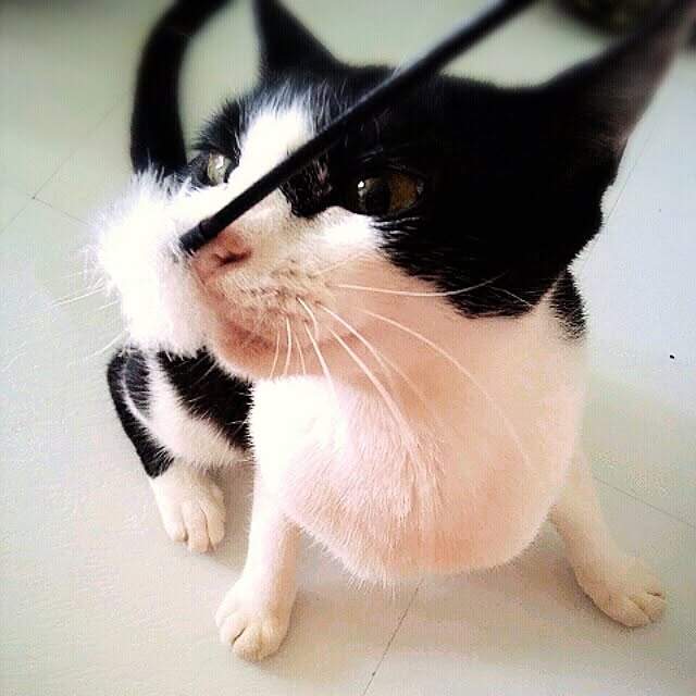 実例写真