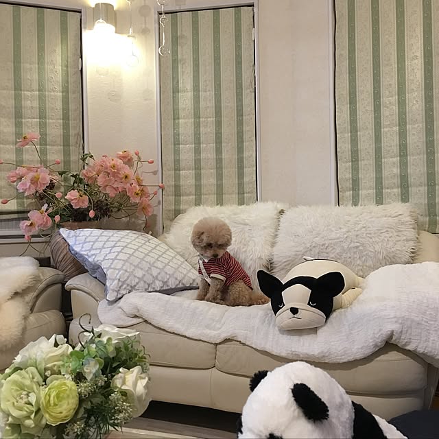 chocomamaさんの実例写真