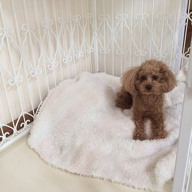 Momoさんの実例写真
