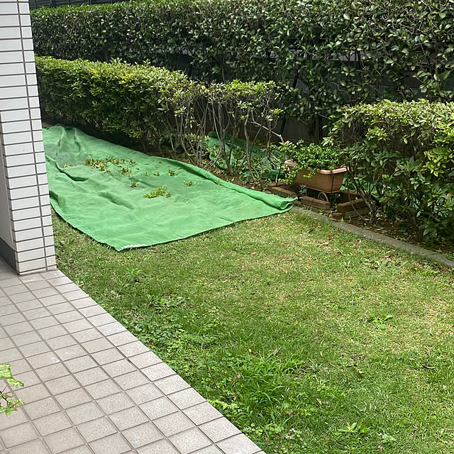 YuuKoさんの実例写真
