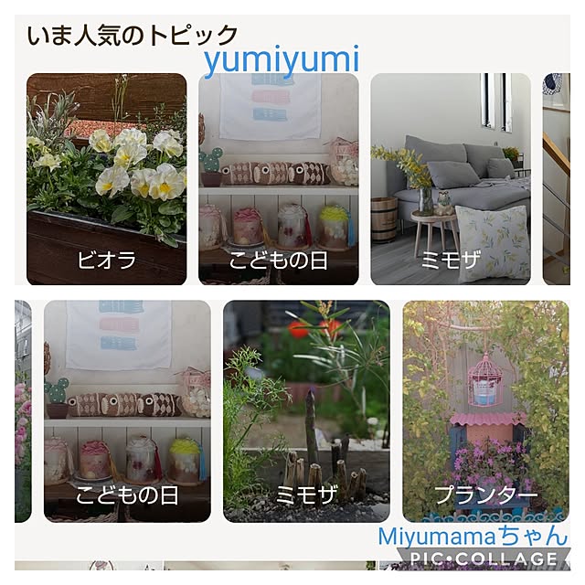yumiyumiさんの実例写真