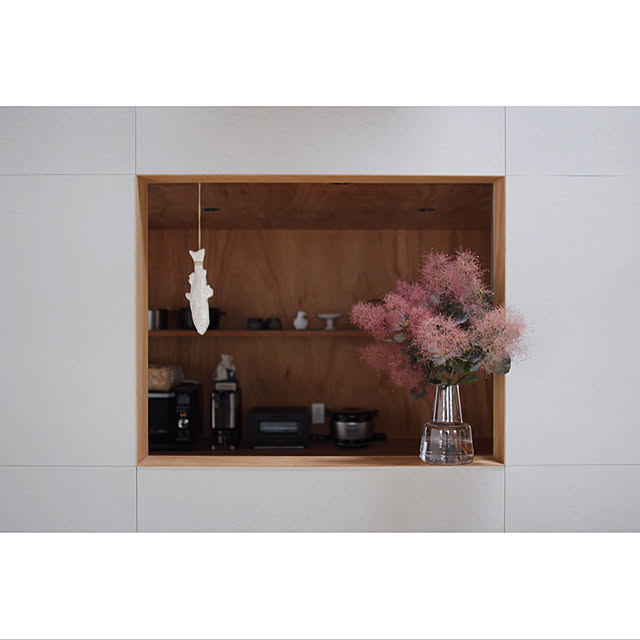 ラワン/植物のある暮らし/キッチンのインテリア実例 - 2019-06-14 03:52:31