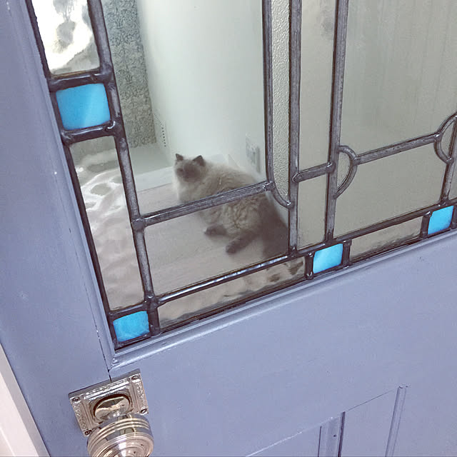 yuchiさんの実例写真