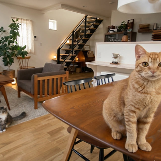 Hisashiさんの実例写真