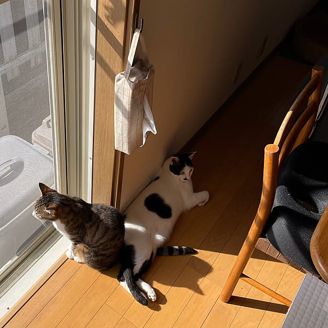 nobikoさんの実例写真