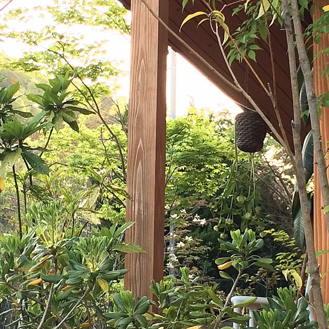 sugomoliさんの実例写真