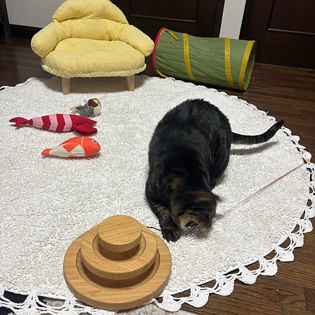 momocchiさんの部屋