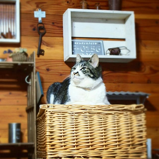 yukiさんの実例写真