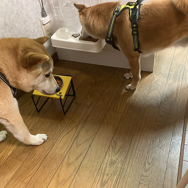 luckyさんの実例写真