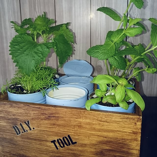 tomatoさんの実例写真