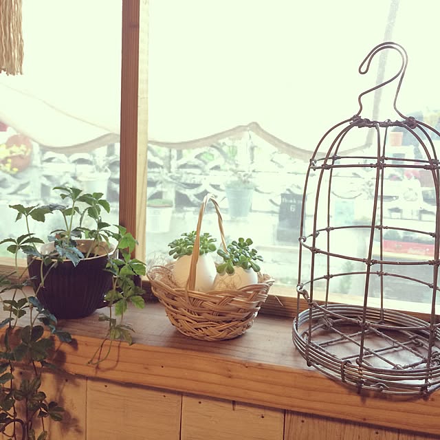coraruさんの実例写真