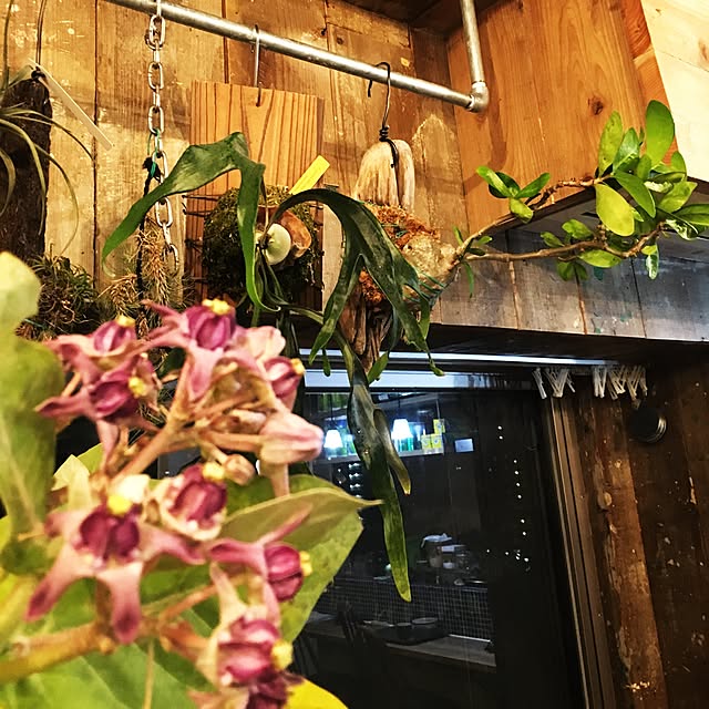 noris_sfさんの実例写真