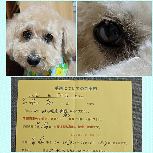 yumirinさんの実例写真