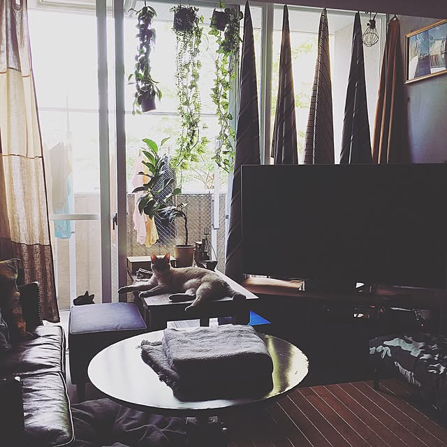 Naoki.さんの実例写真