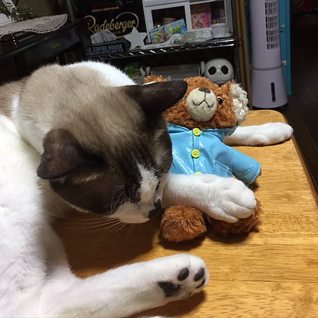 vivienne.coco-keiさんの実例写真