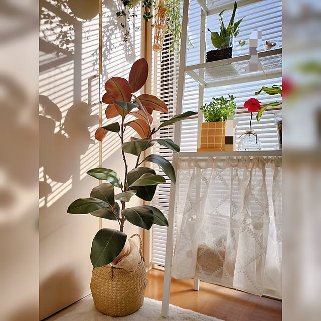 38さんの実例写真