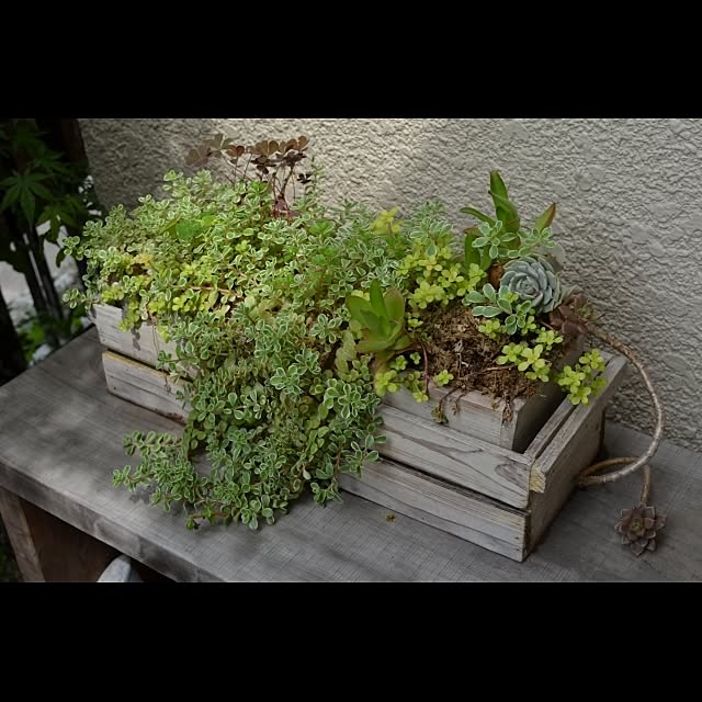 GreenWorksさんの実例写真