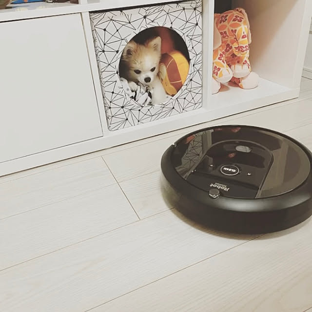 RiEさんの実例写真