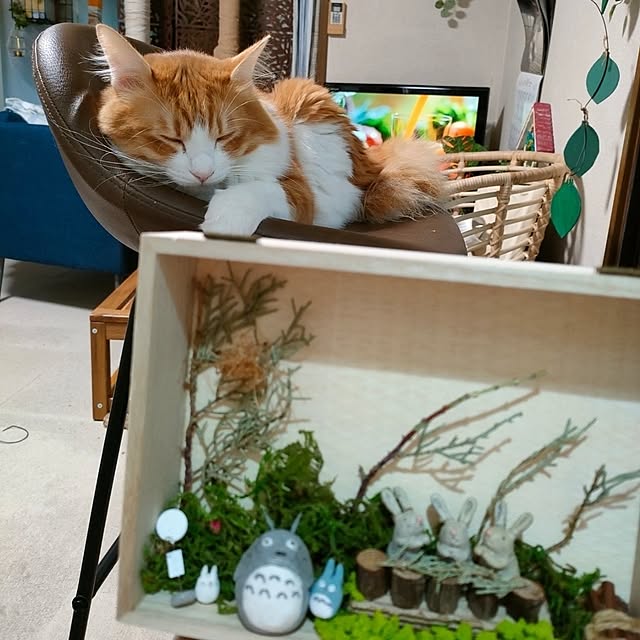 mori_6_12さんの実例写真