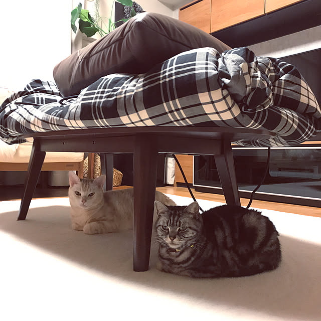 hiyupan88さんの実例写真
