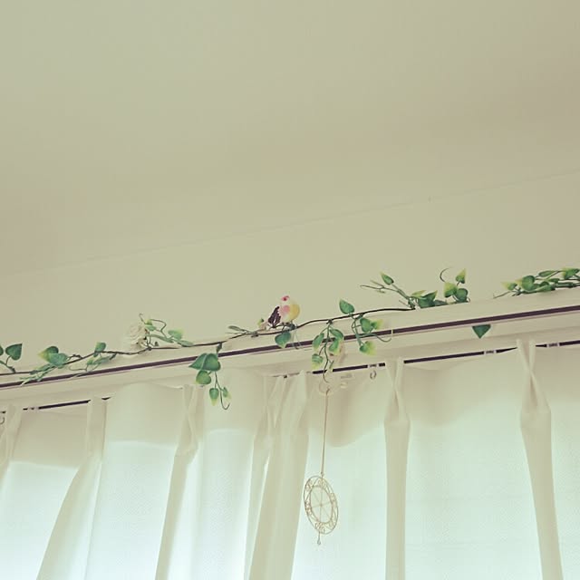 misakiさんの実例写真