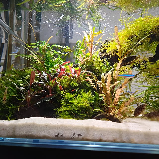 Xign_1992さんの部屋