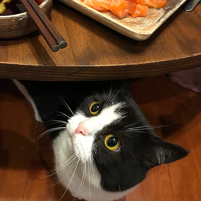 butachanさんの実例写真