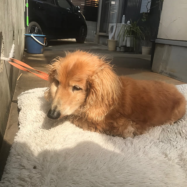 zakiさんの実例写真